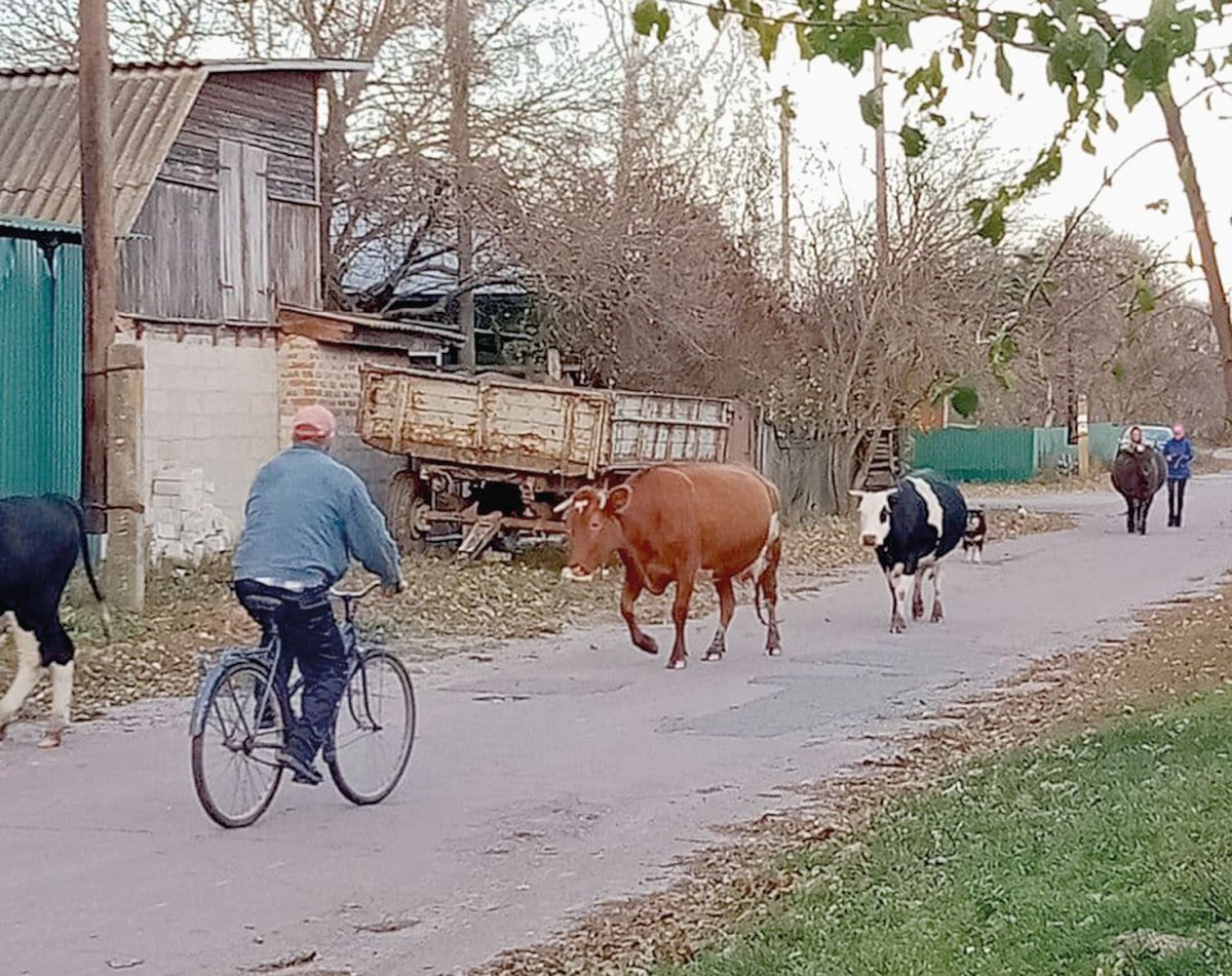Klochkiv village via Gazeta.ua