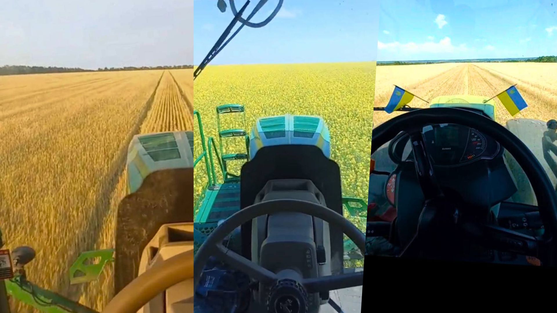 The blue-yellow view Danylo regularly sees during his working hours.