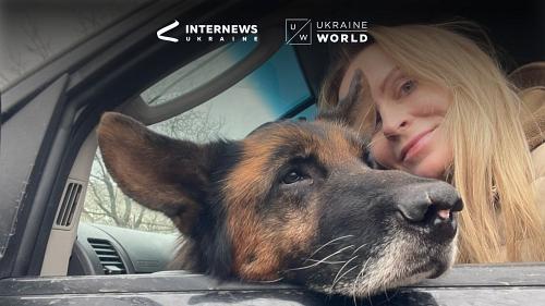 Story #169: 12 Guardians: Saving Not Just Pets, but Humanity