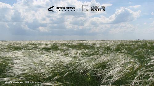 The Ukrainian Reserve, Established by Germans, is Being Destroyed by Russia