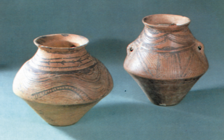 An example of Trypilian ceramics, depicting plant ornaments.