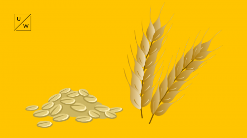 Grain Agreement: Ray of Hope or the Russian Bluff?